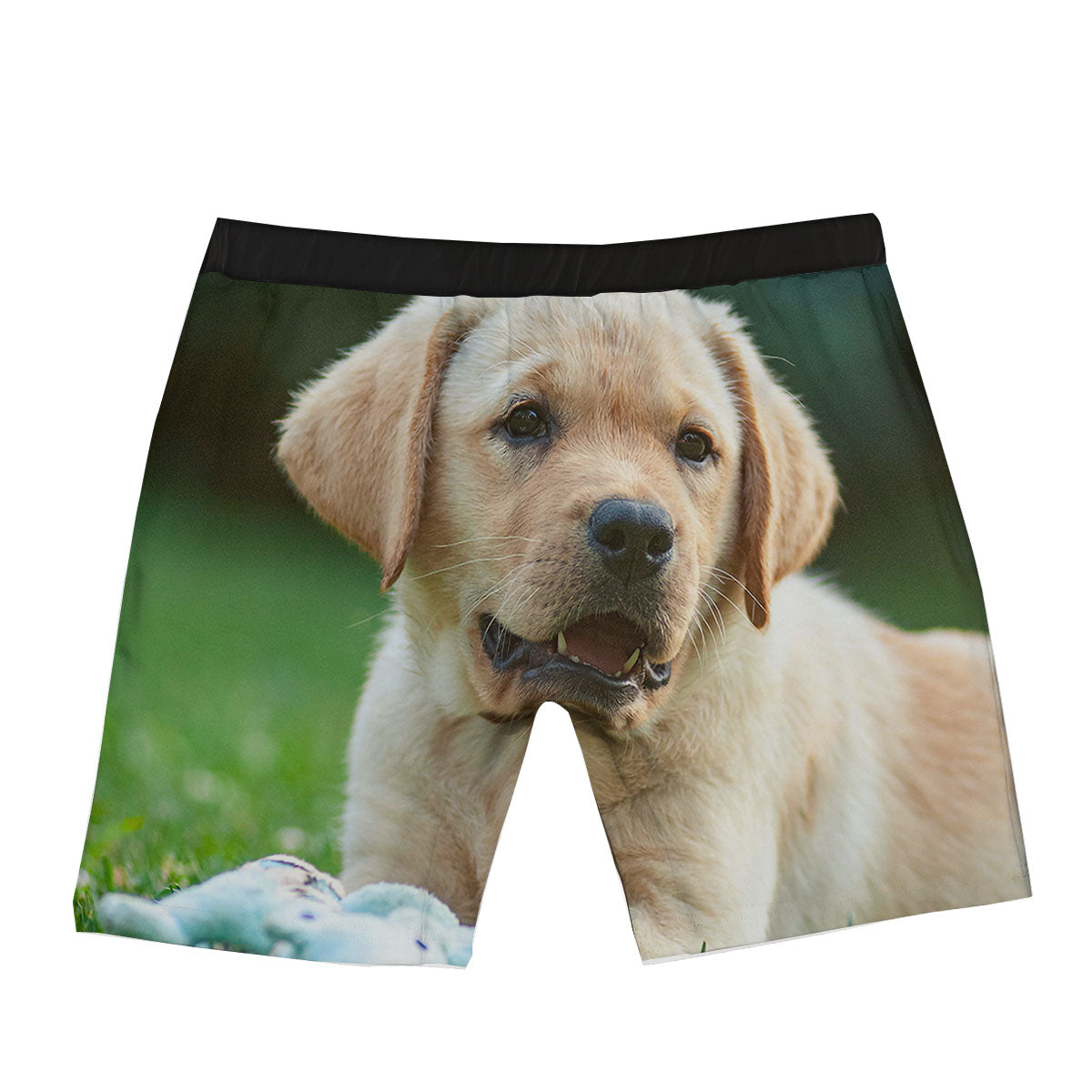Puppy And Labrador Retriever Print Boxer Briefs-grizzshop