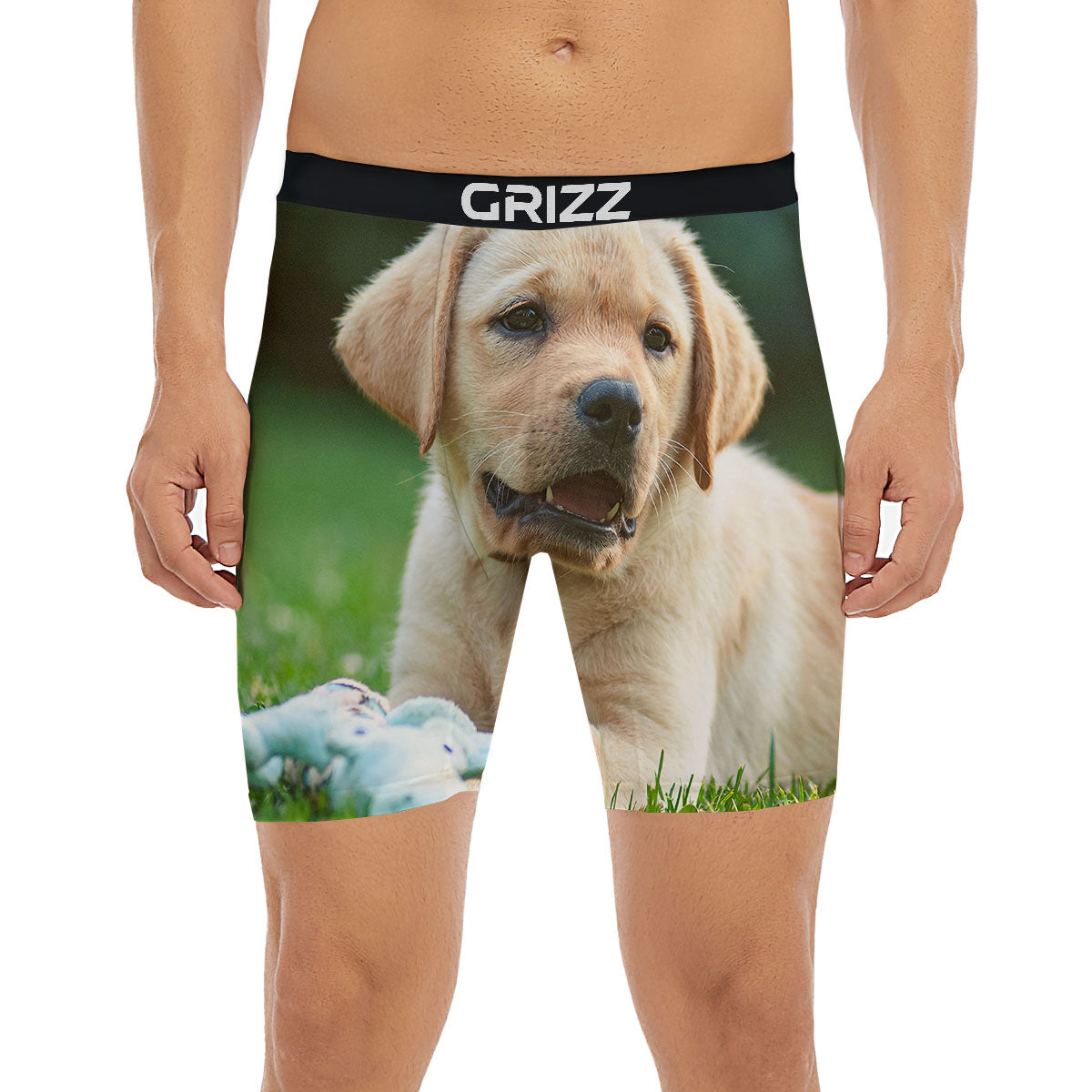 Puppy And Labrador Retriever Print Boxer Briefs-grizzshop