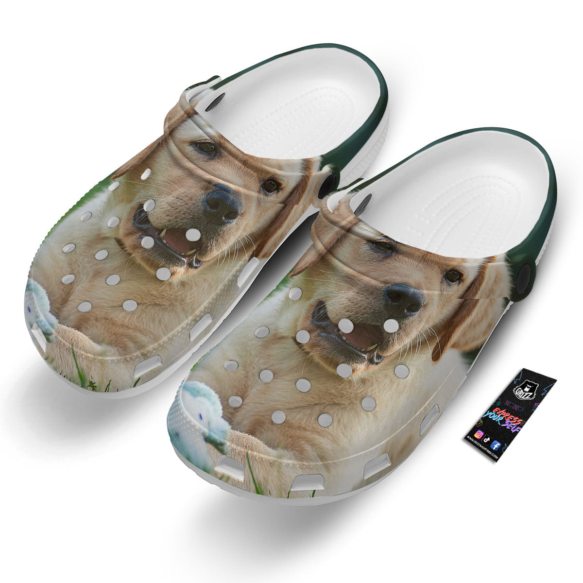Puppy And Labrador Retriever Print Clog-grizzshop