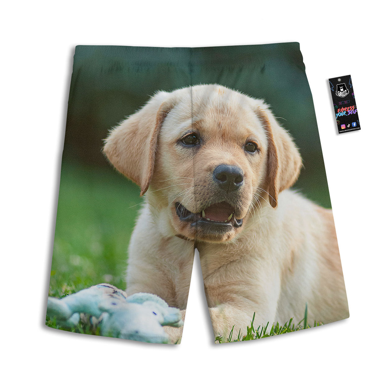 Puppy And Labrador Retriever Print Men's Athletic Shorts