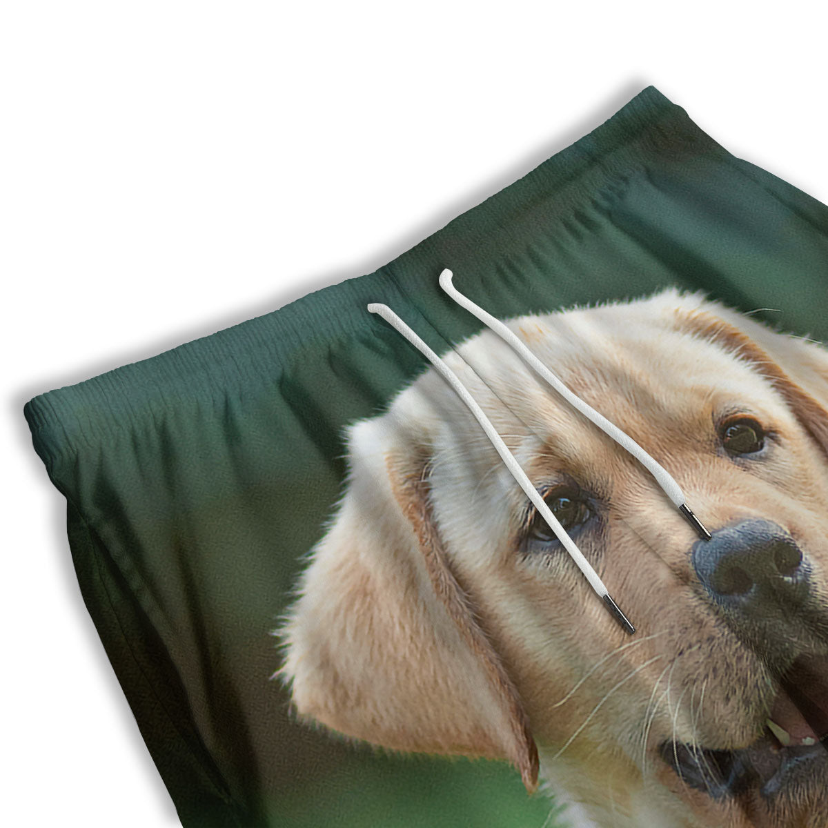 Puppy And Labrador Retriever Print Men's Athletic Shorts