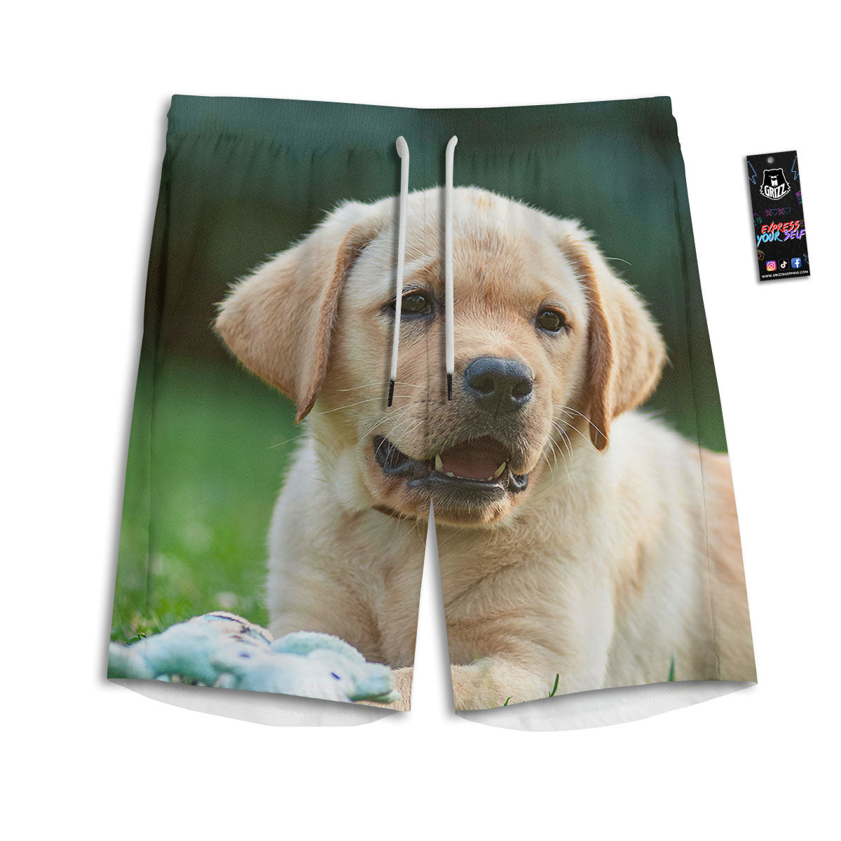 Puppy And Labrador Retriever Print Men's Athletic Shorts
