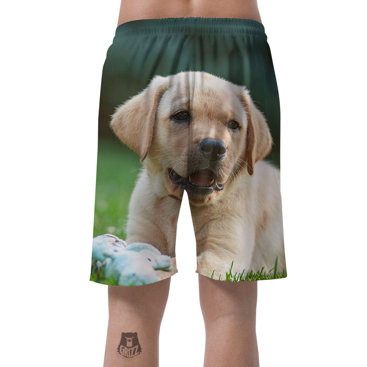 Puppy And Labrador Retriever Print Men's Shorts-grizzshop