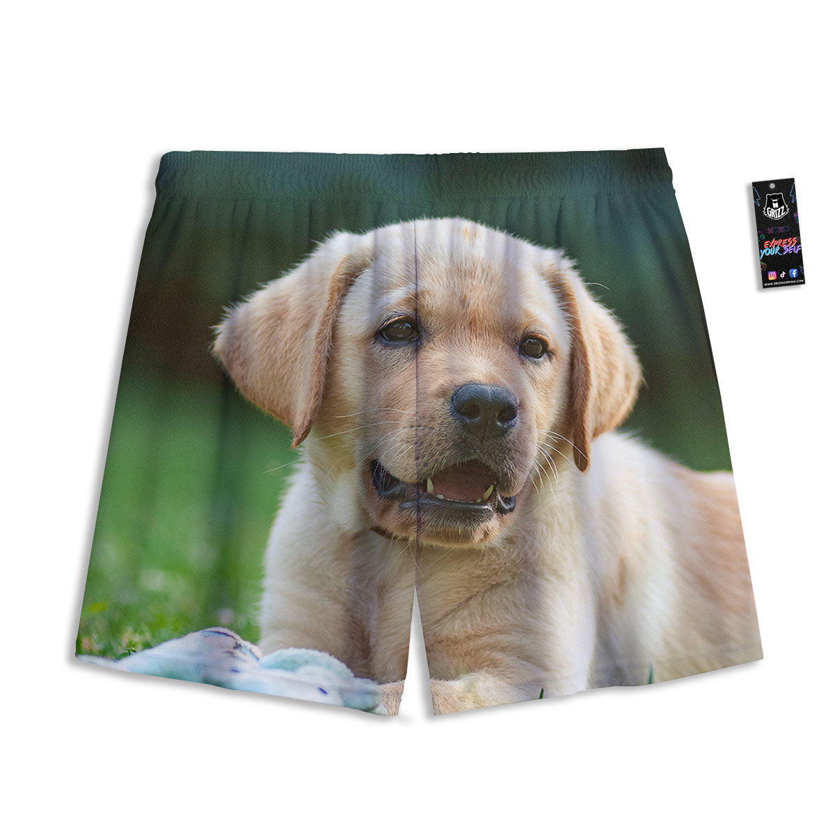 Puppy And Labrador Retriever Print Mesh Shorts