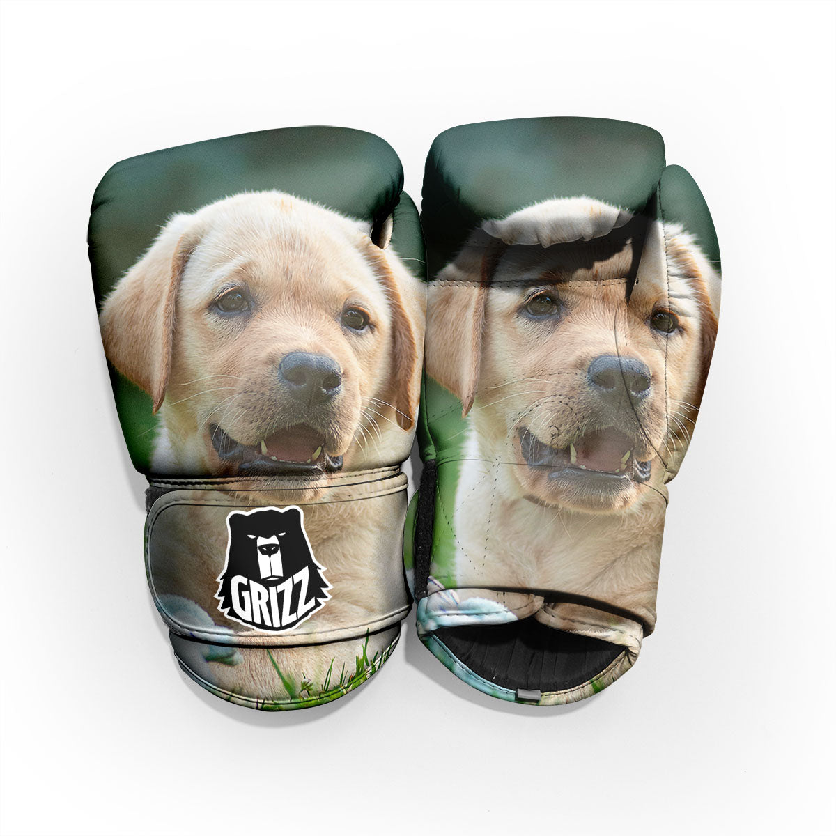 Puppy And Labrador Retriever Print Pro Boxing Glove