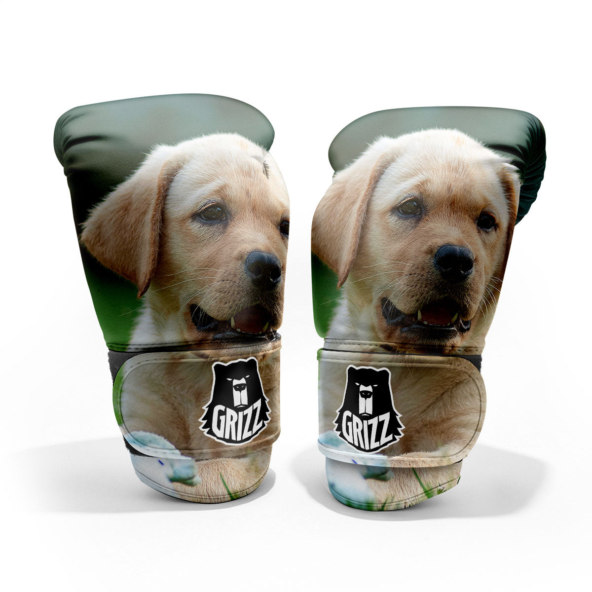 Puppy And Labrador Retriever Print Pro Boxing Glove