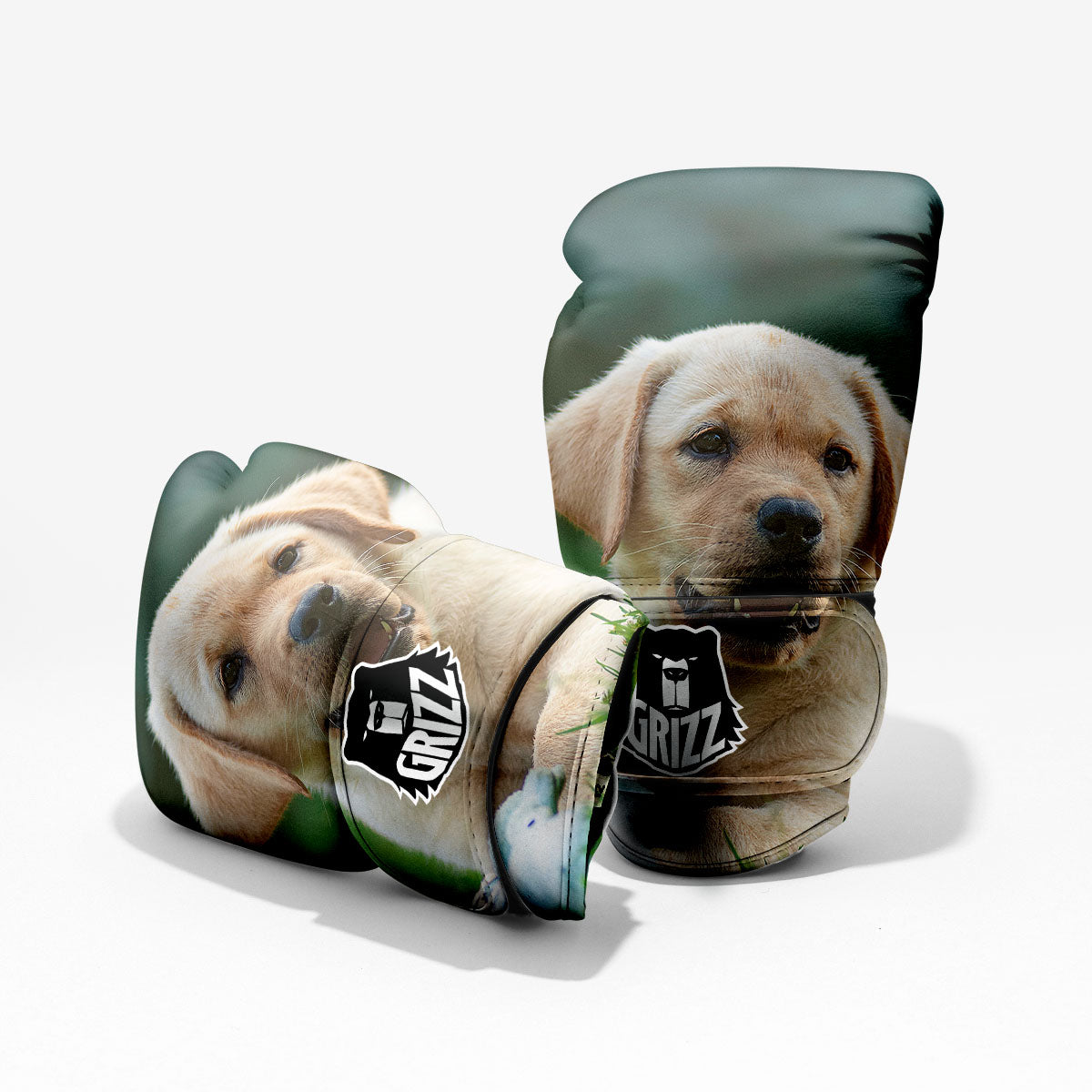 Puppy And Labrador Retriever Print Pro Boxing Glove