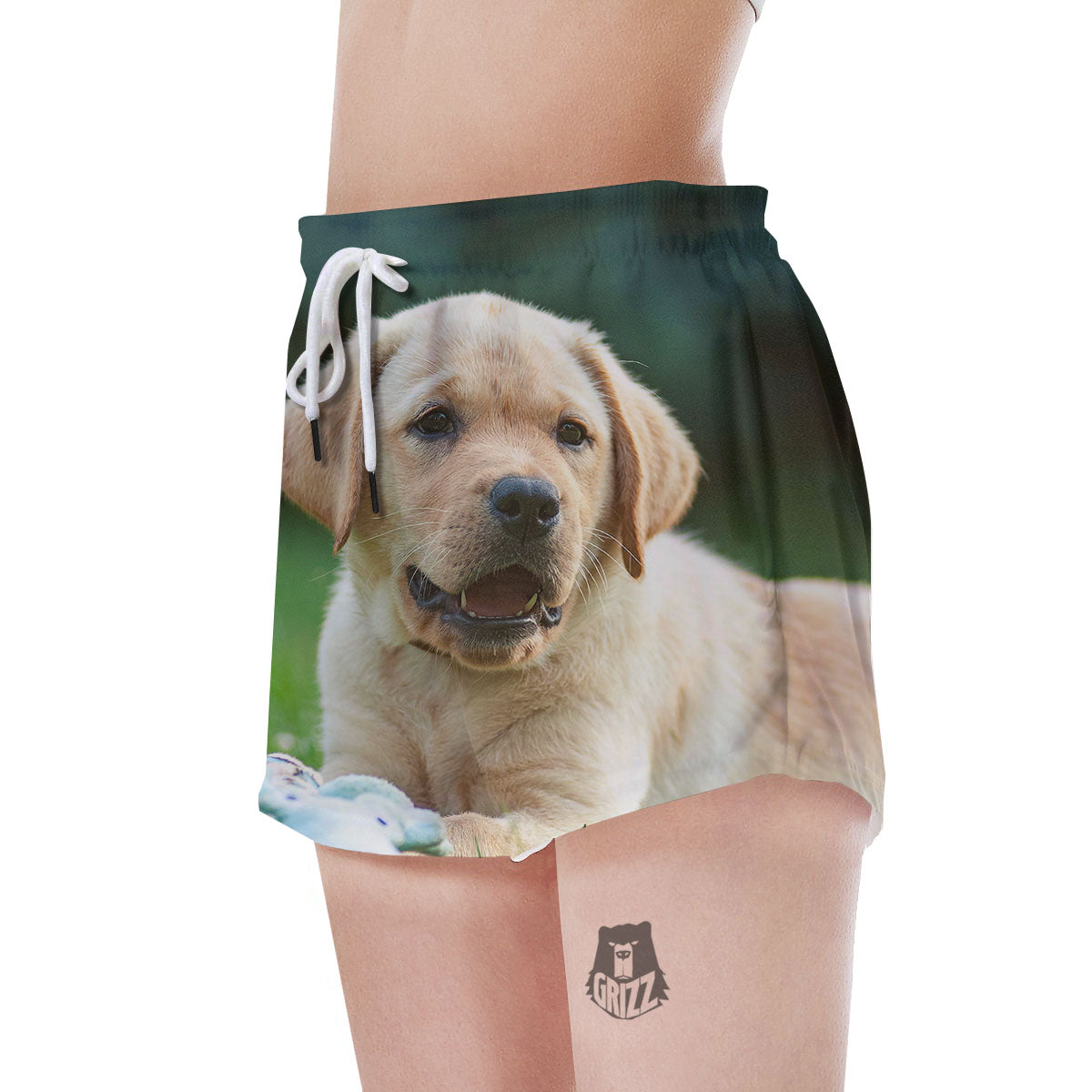 Puppy And Labrador Retriever Print Women's Shorts-grizzshop