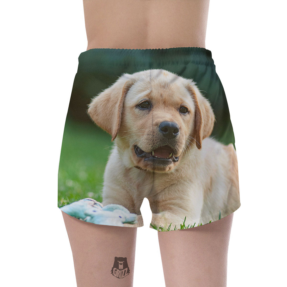Puppy And Labrador Retriever Print Women's Shorts-grizzshop