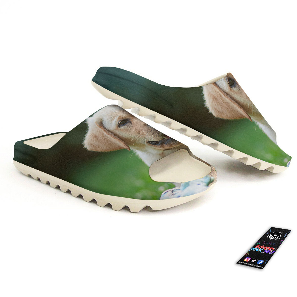 Puppy And Labrador Retriever Print Sandals-grizzshop