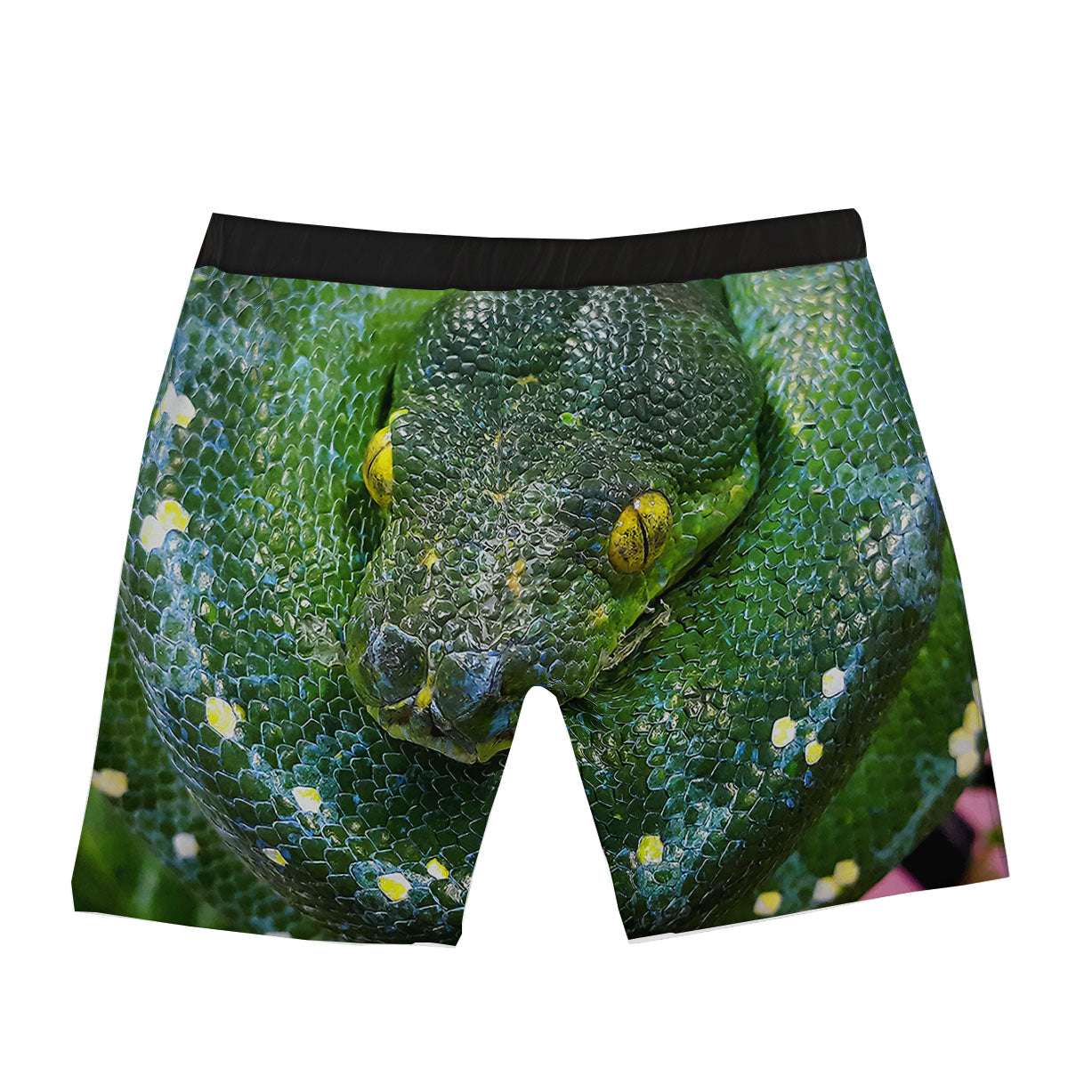 Python Snake Green Reticulated Print Boxer Briefs-grizzshop