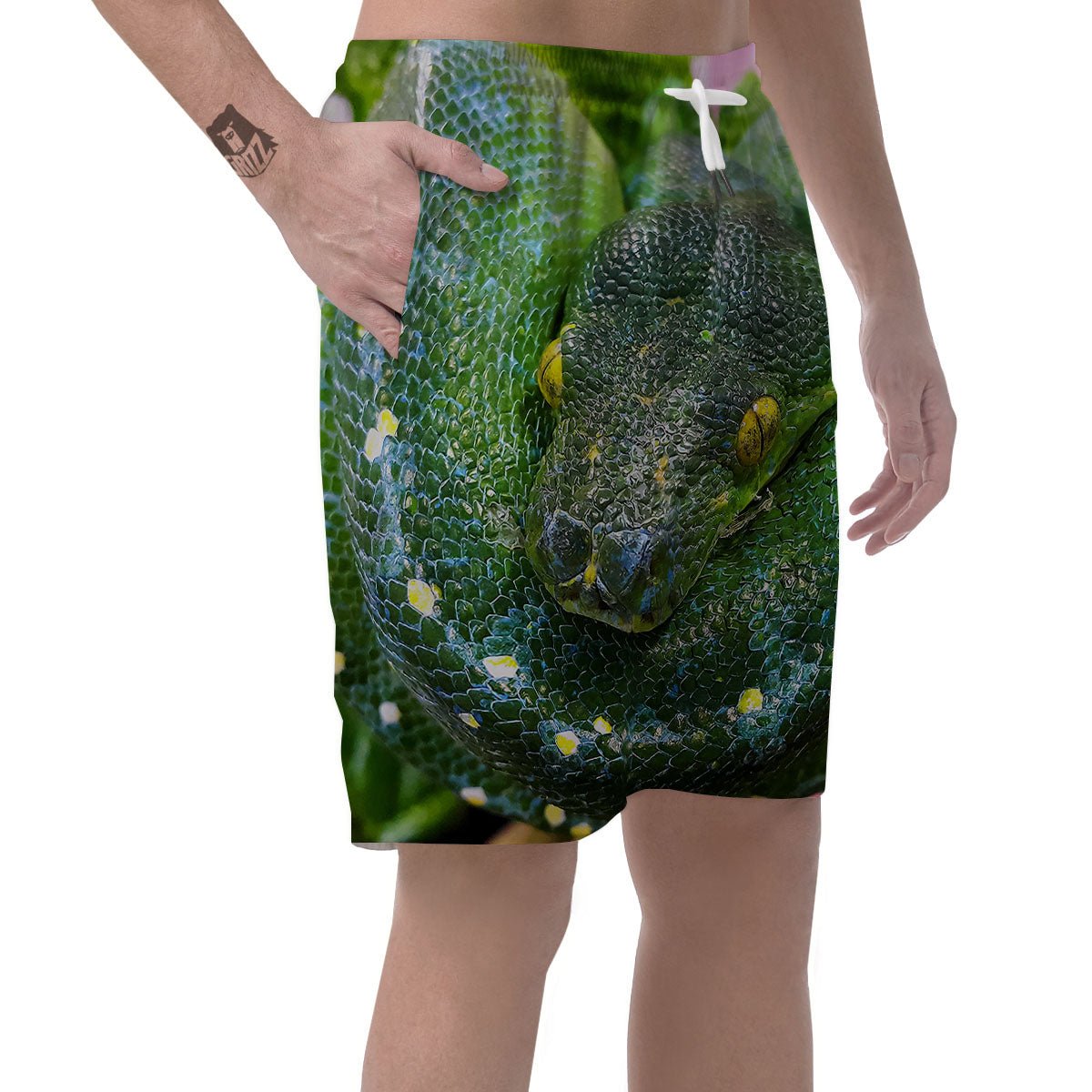 Python Snake Green Reticulated Print Men's Shorts-grizzshop