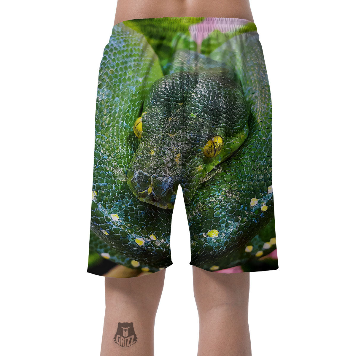 Python Snake Green Reticulated Print Men's Shorts-grizzshop