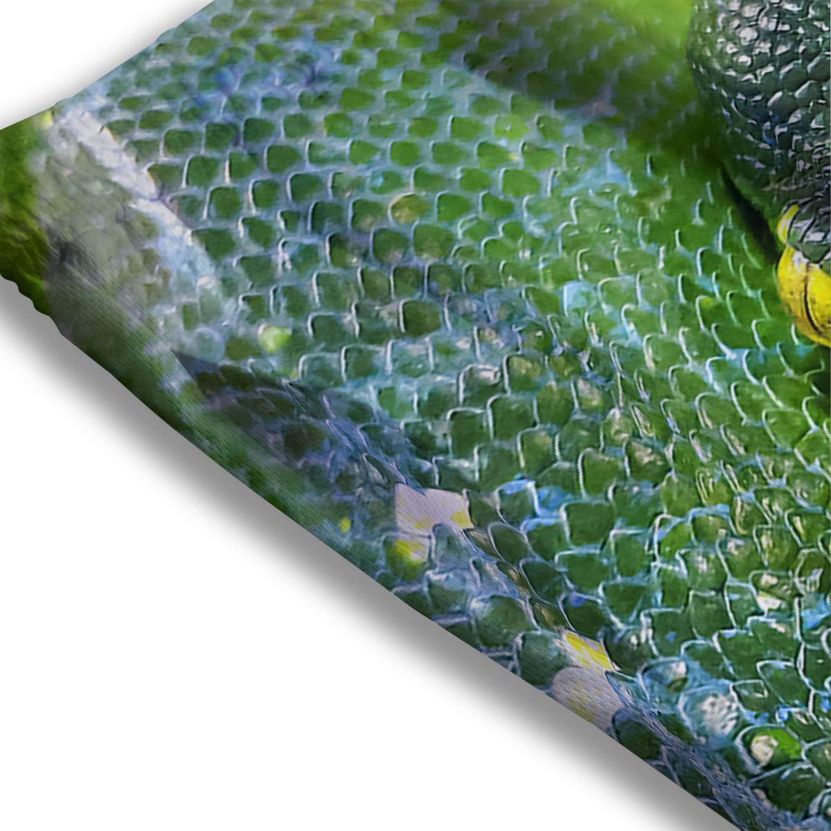 Python Snake Green Reticulated Print Mesh Shorts
