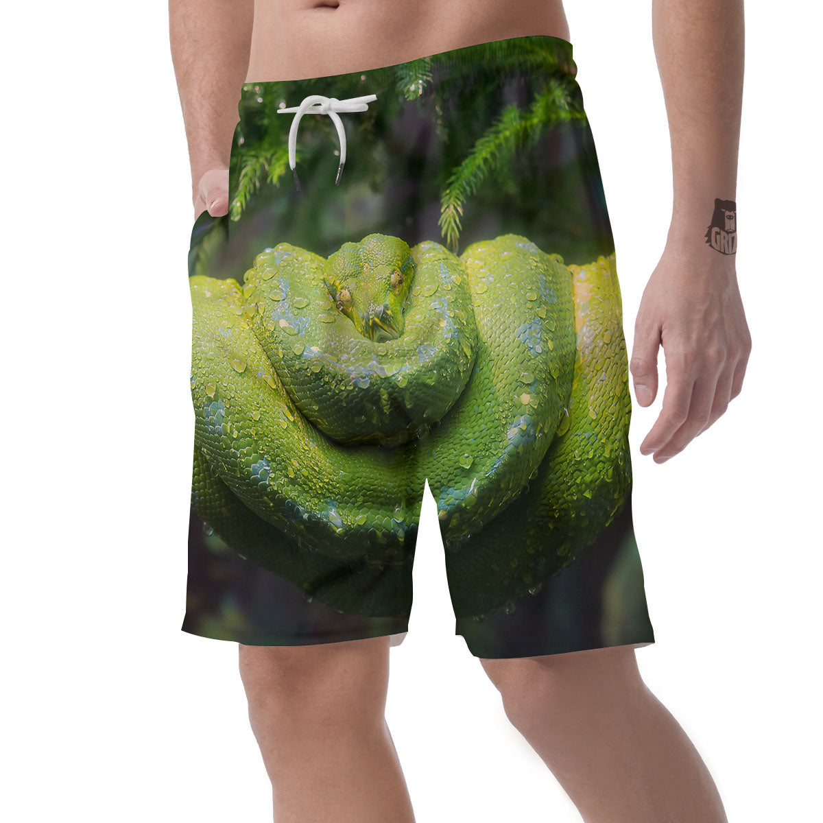Python Snake Green Tree Print Men's Shorts-grizzshop