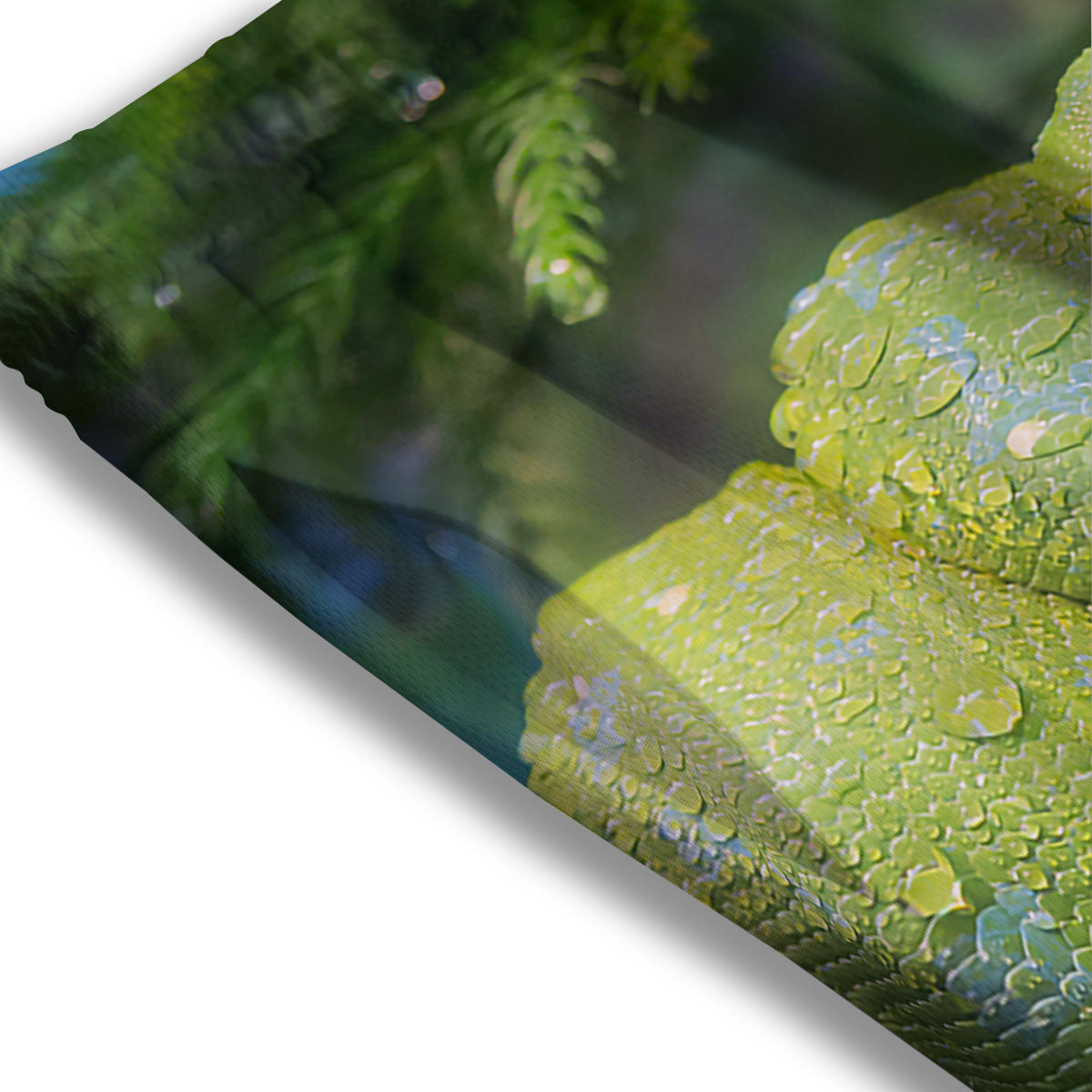 Python Snake Green Tree Print Mesh Shorts