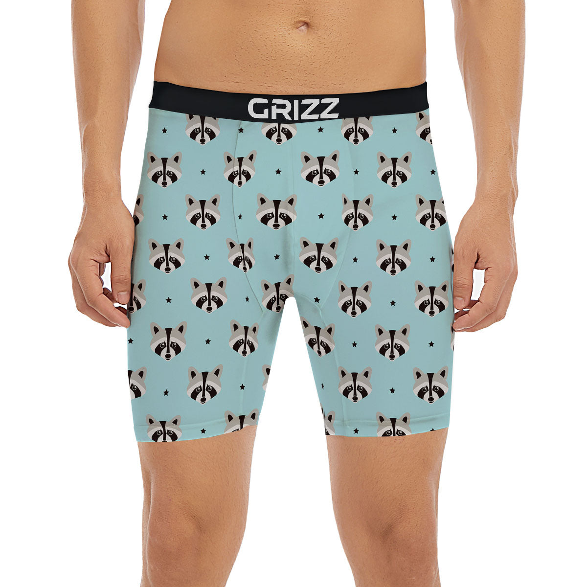 Raccoon Cartoon Print Pattern Boxer Briefs
