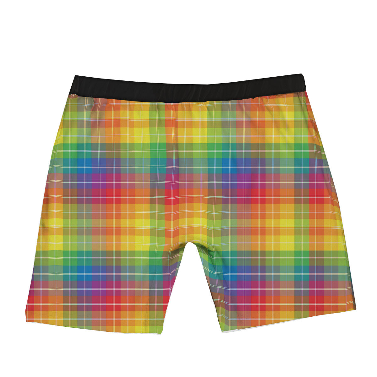 Rainbow Plaid LGBT Pride Print Pattern Boxer Briefs-grizzshop