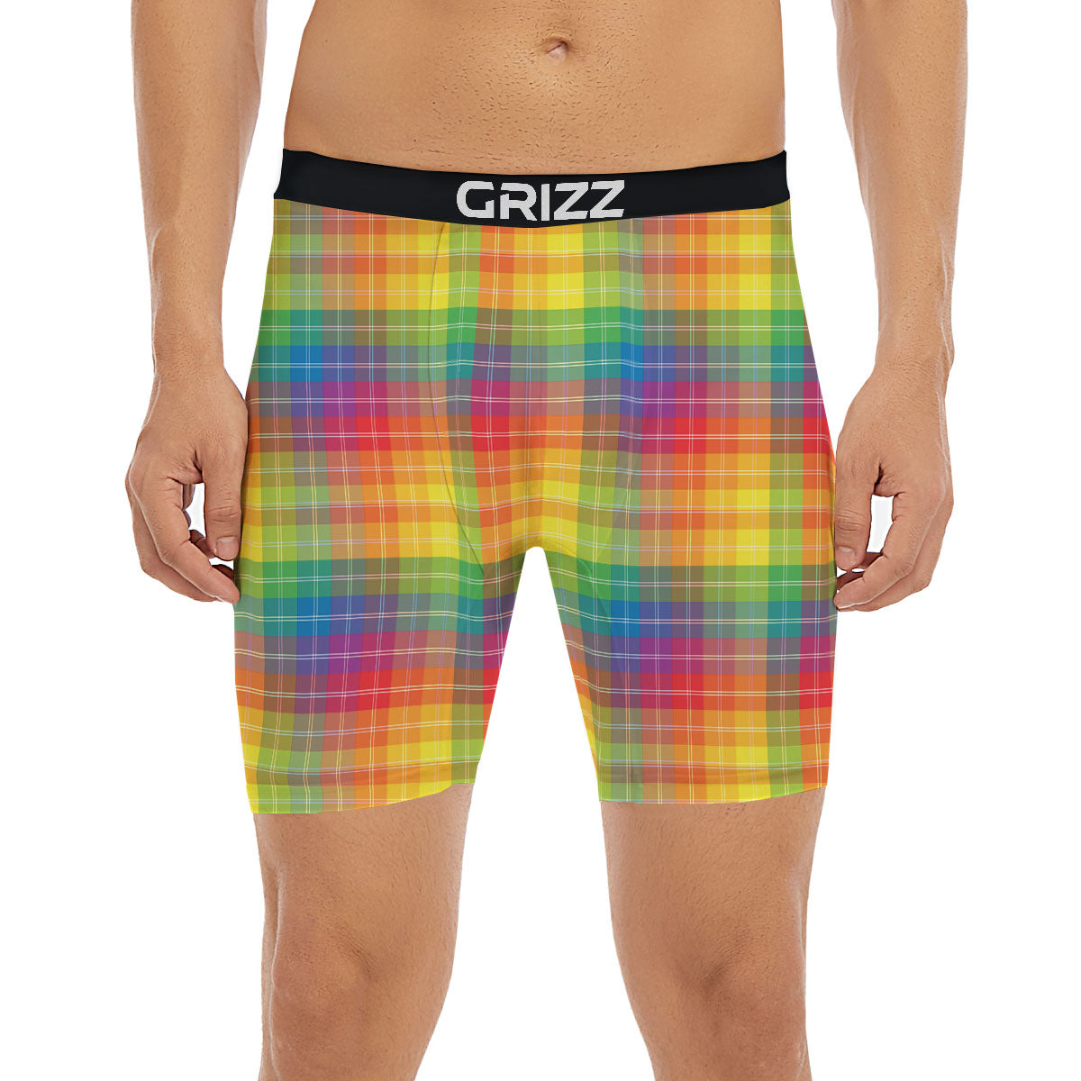 Rainbow Plaid LGBT Pride Print Pattern Boxer Briefs-grizzshop