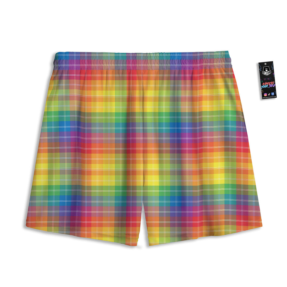 Rainbow Plaid LGBT Pride Print Pattern Mesh Shorts