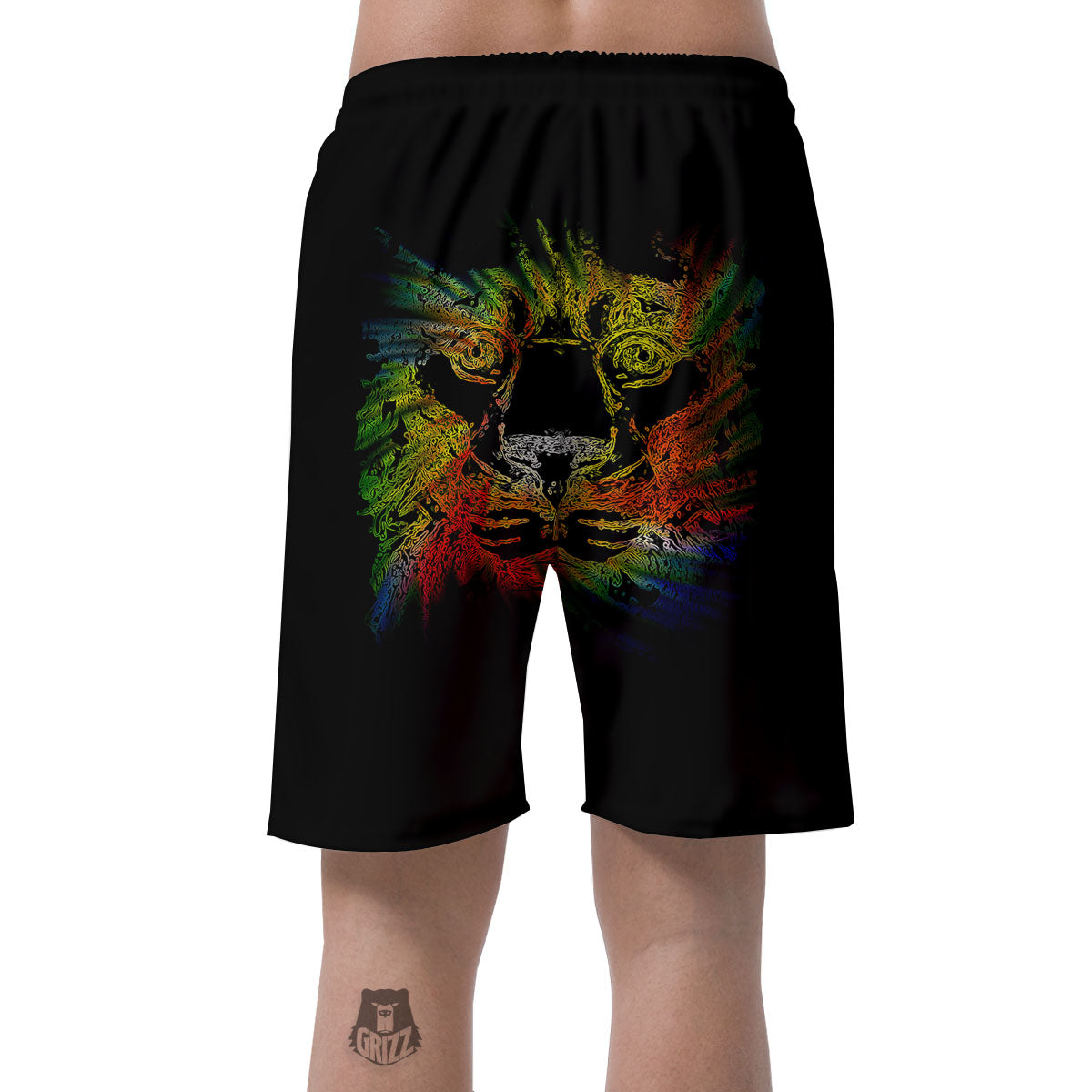 Rasta Lion Grunge Print Men's Shorts-grizzshop