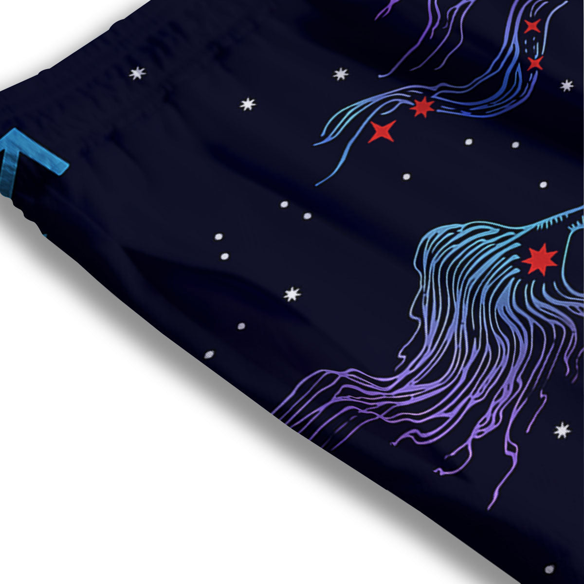 Sagittarius Constellation Sign Print Mesh Shorts
