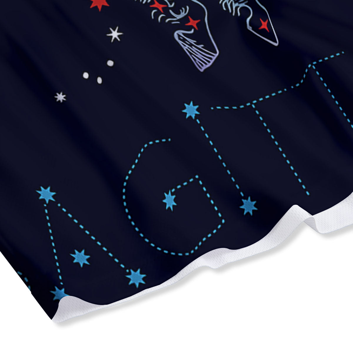 Sagittarius Constellation Sign Print Mesh Shorts