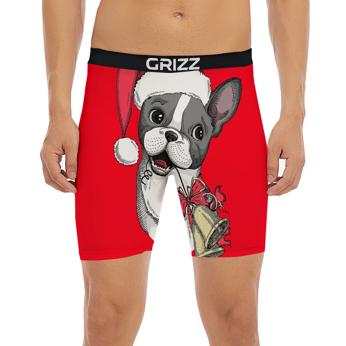 Santa Christmas French Bulldog Print Boxer Briefs