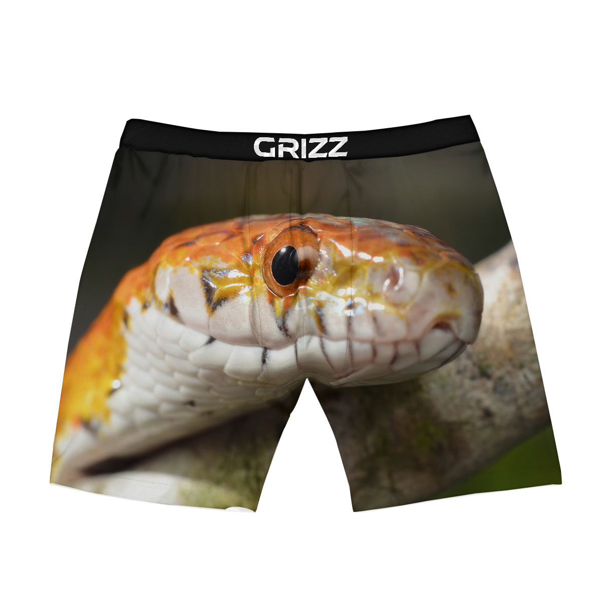 Snake Corn Print Boxer Briefs-grizzshop