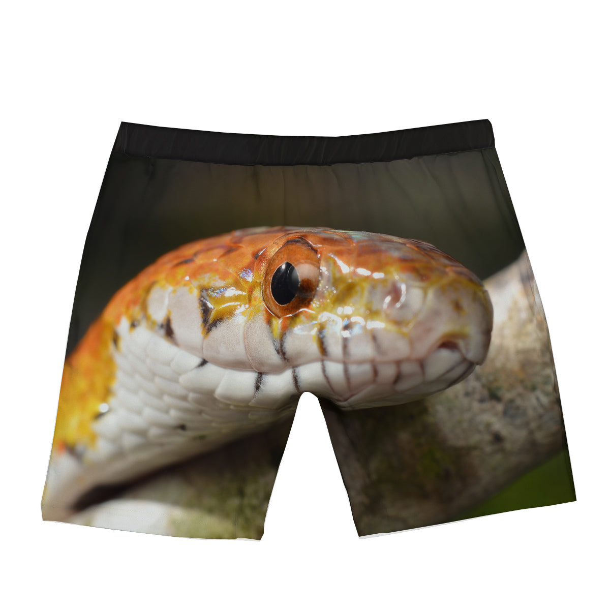 Snake Corn Print Boxer Briefs-grizzshop