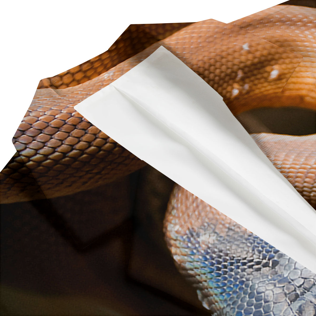 Snake Leiopython Print Men's Blazer-grizzshop