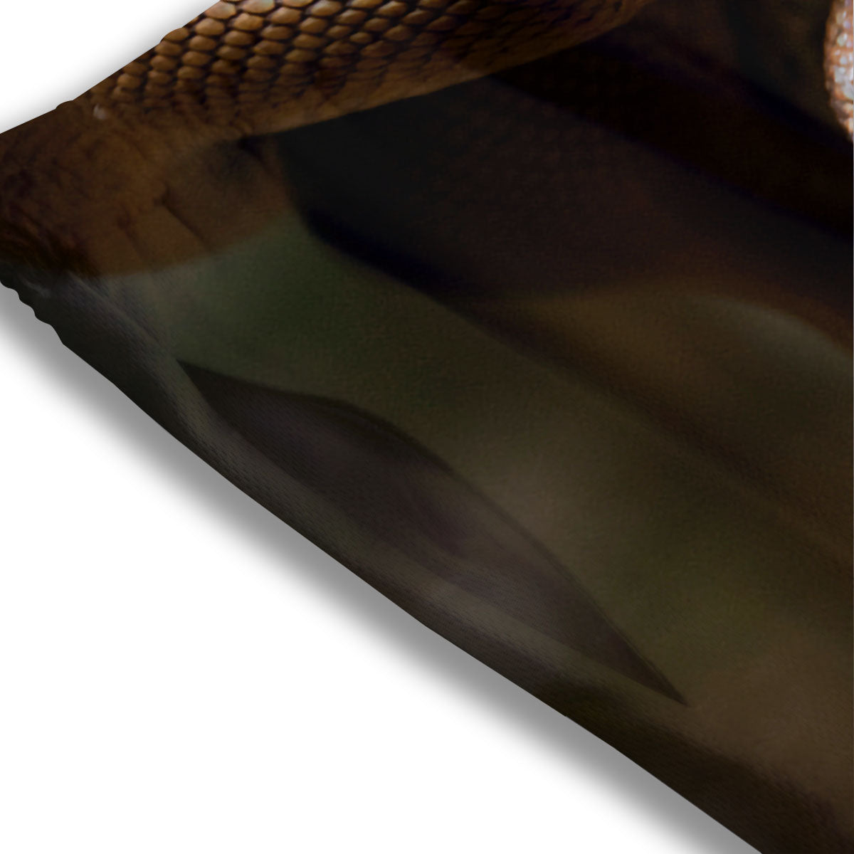 Snake Leiopython Print Mesh Shorts