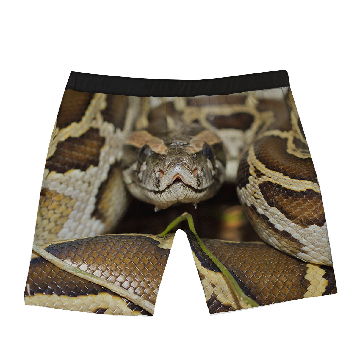Snake Python Print Boxer Briefs-grizzshop