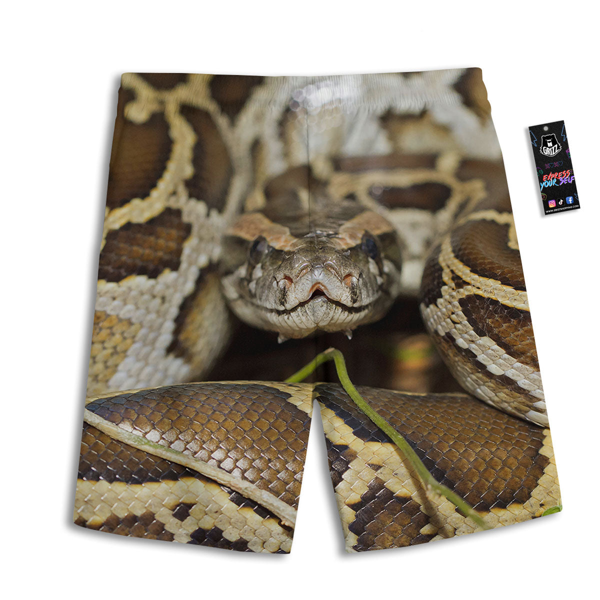 Snake Python Print Men's Athletic Shorts