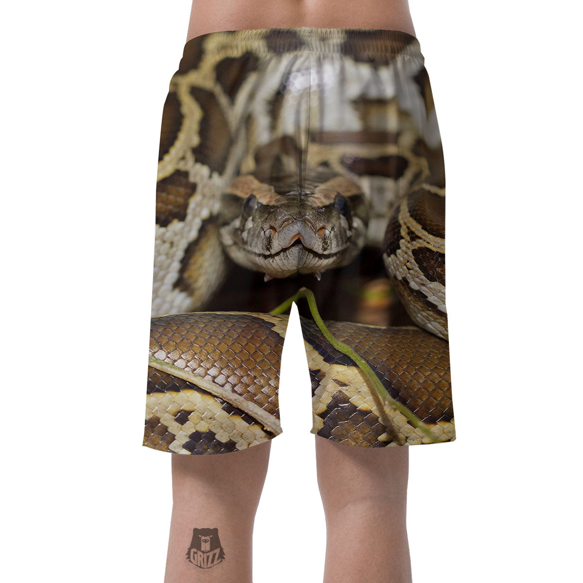 Snake Python Print Men's Shorts-grizzshop