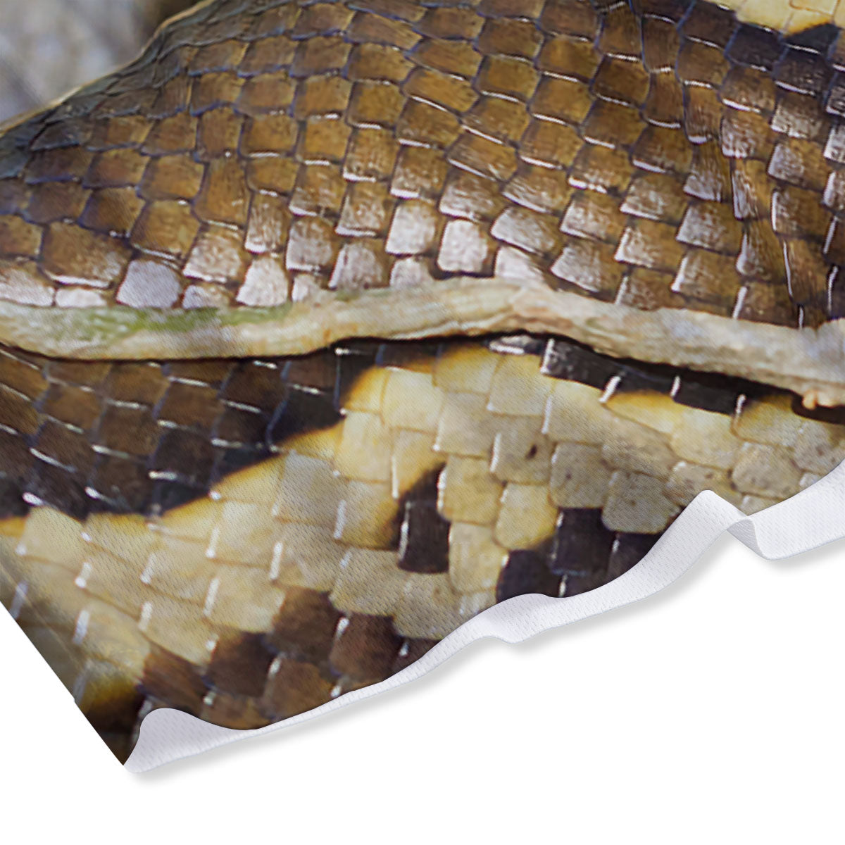 Snake Python Print Mesh Shorts