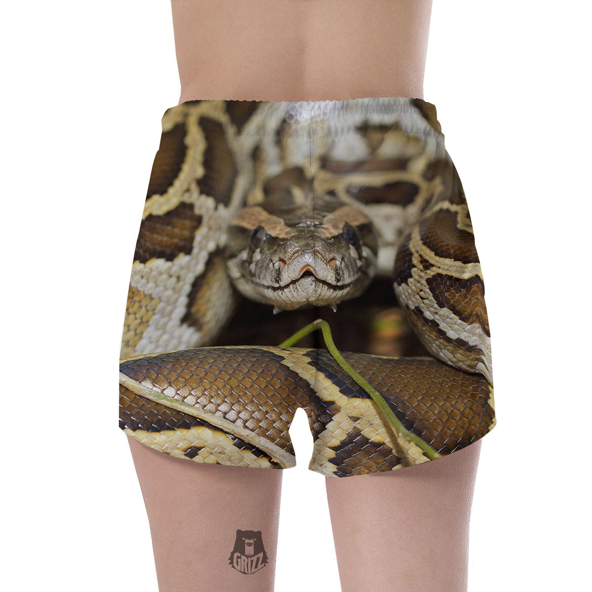 Snake Python Print Women's Shorts-grizzshop