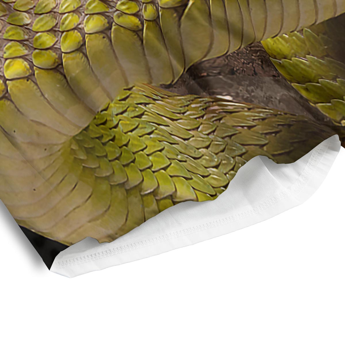 Snake Trimeresurus Albolabris Print Men's Athletic Shorts