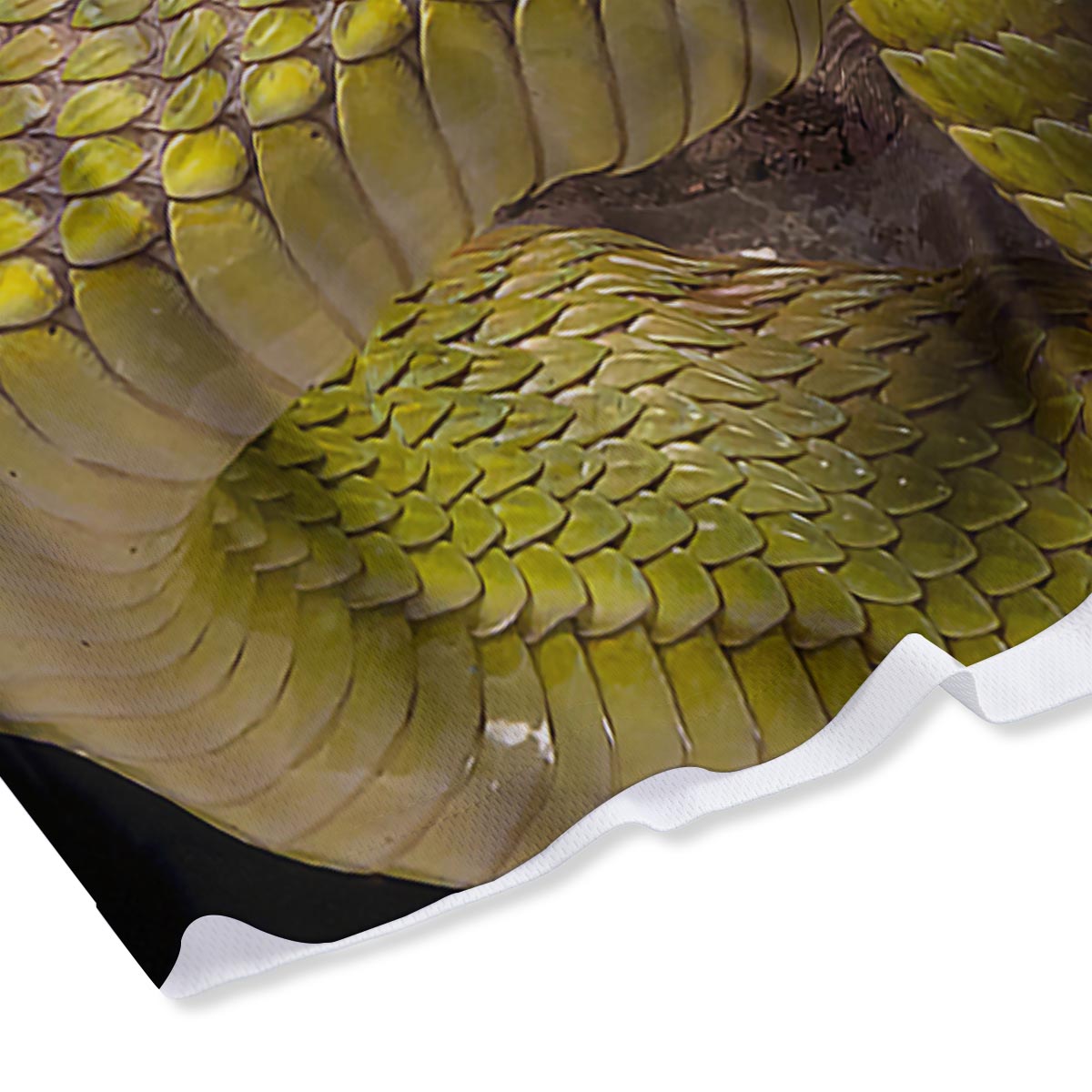 Snake Trimeresurus Albolabris Print Mesh Shorts