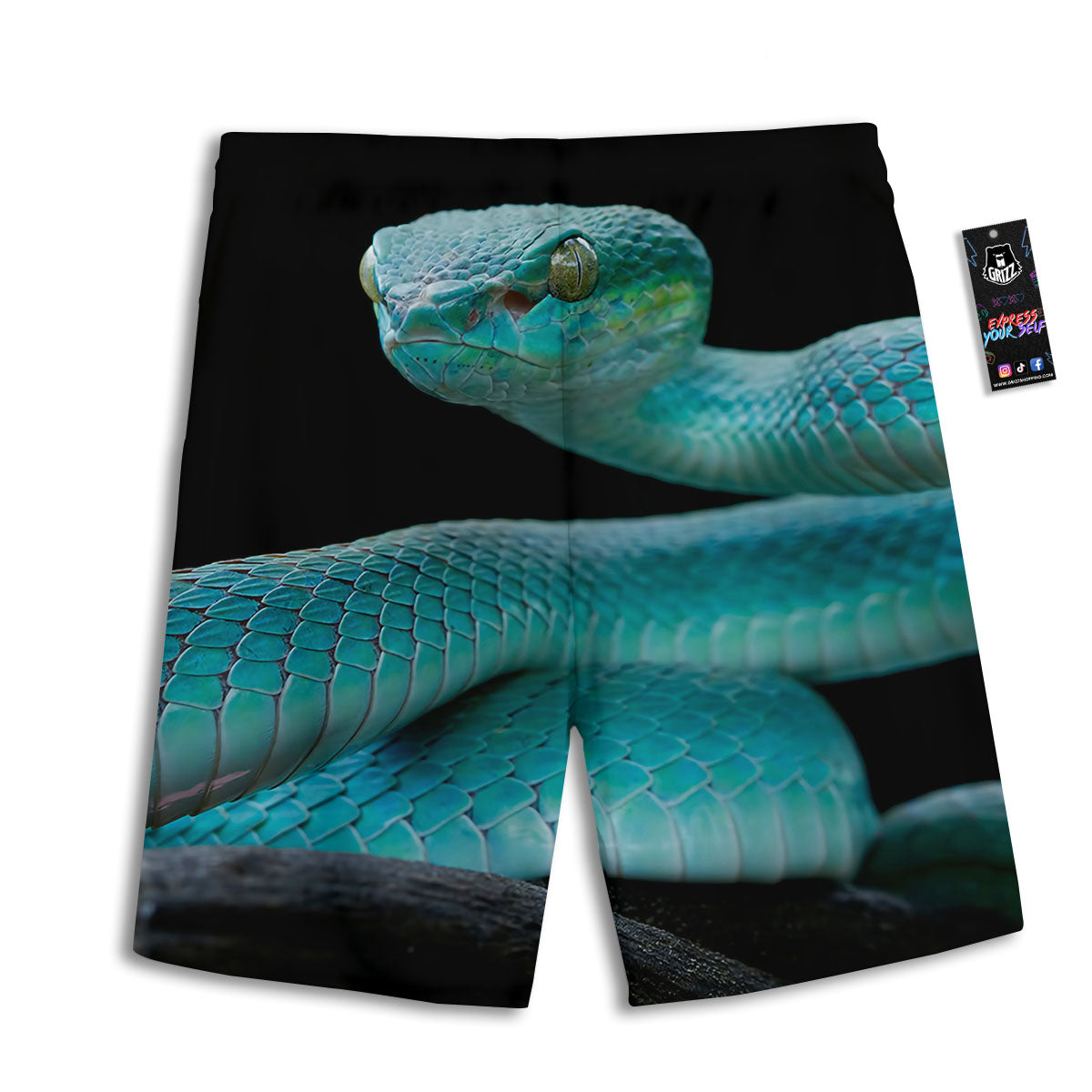 Snake Turquoise Print Men's Athletic Shorts