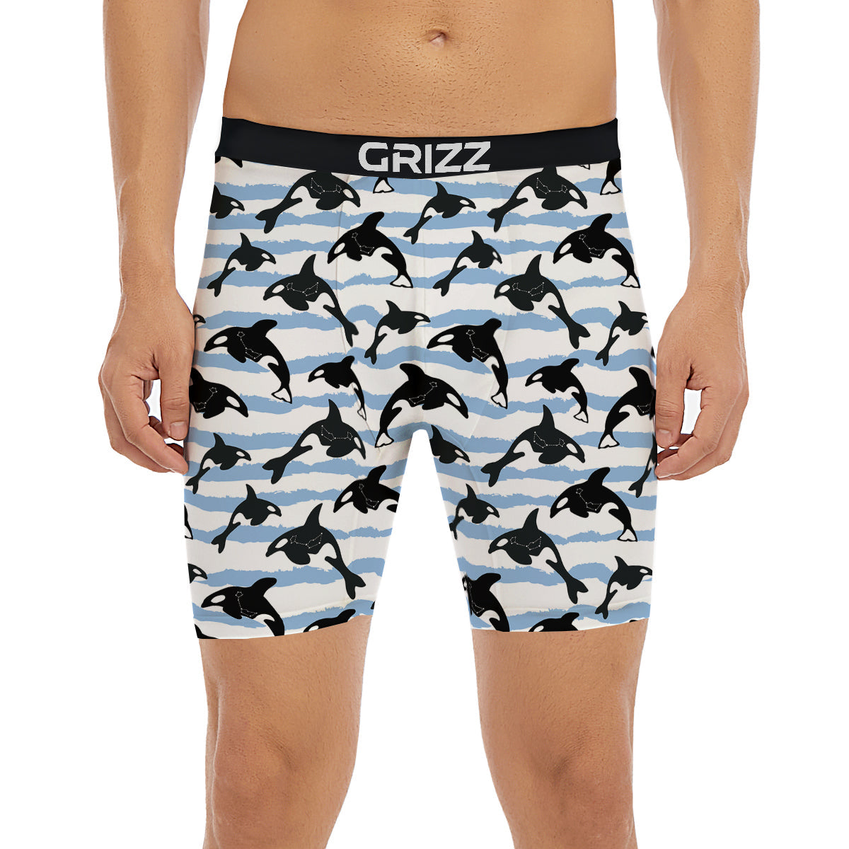 Striped Killer Whale Blue Print Pattern Boxer Briefs-grizzshop