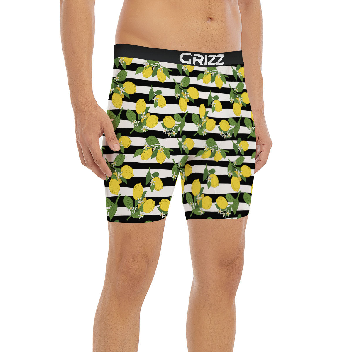 Striped Lemon Print Pattern Boxer Briefs-grizzshop