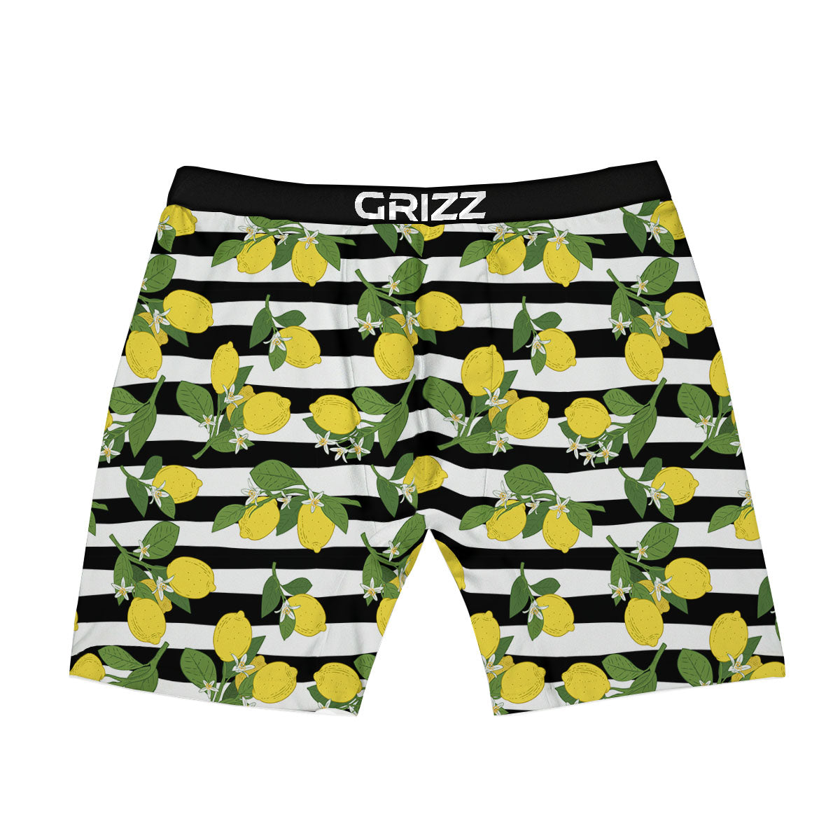Striped Lemon Print Pattern Boxer Briefs-grizzshop
