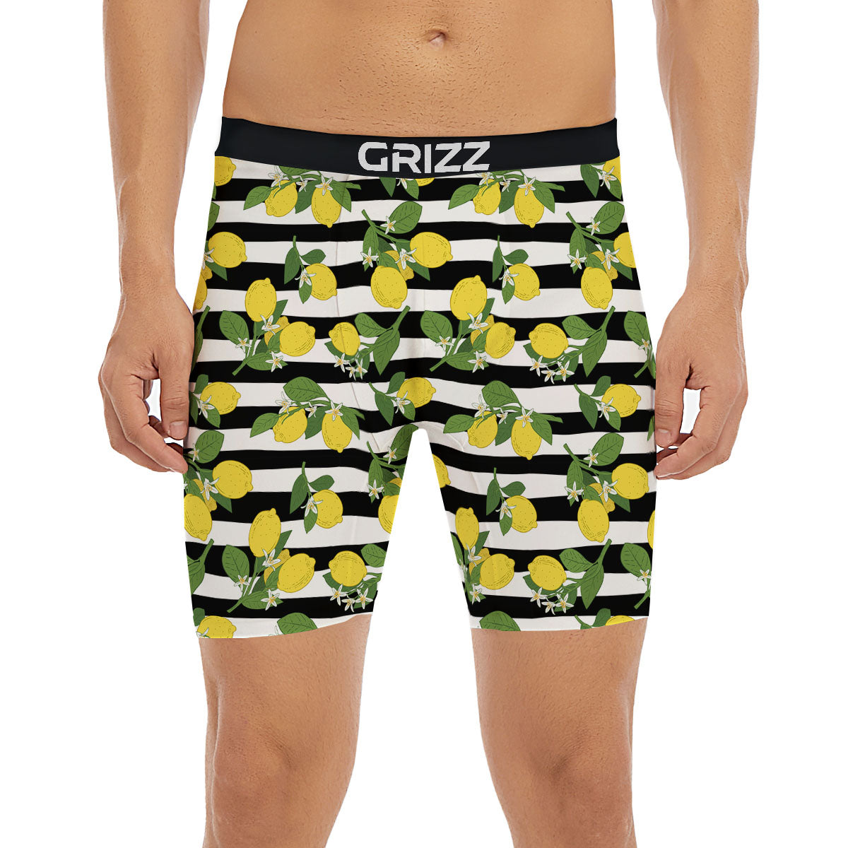 Striped Lemon Print Pattern Boxer Briefs-grizzshop