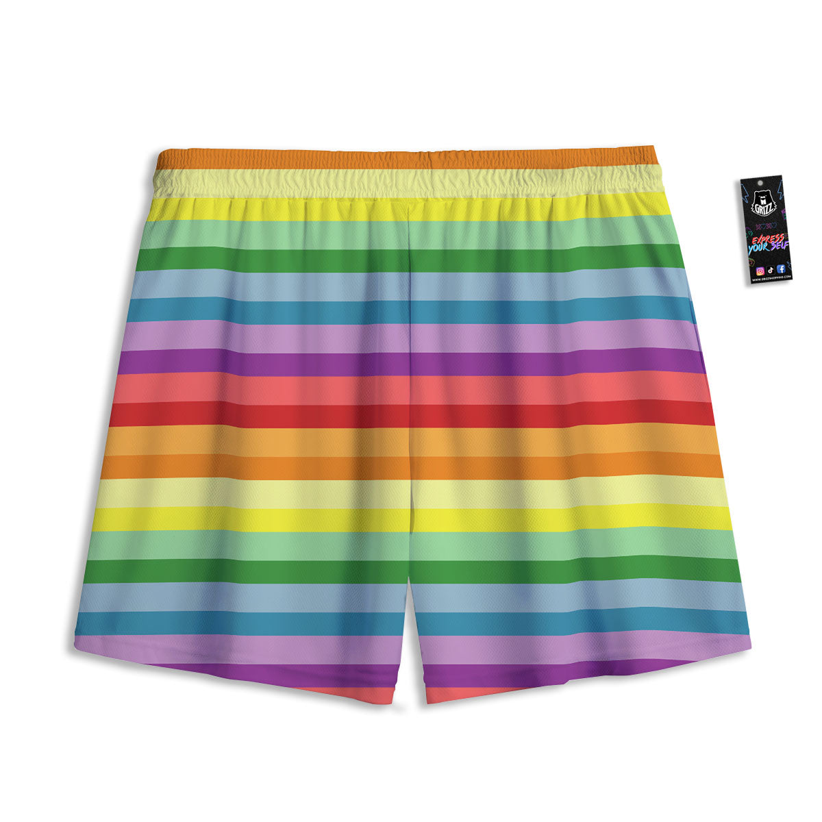 Striped Rainbow Print Pattern Mesh Shorts