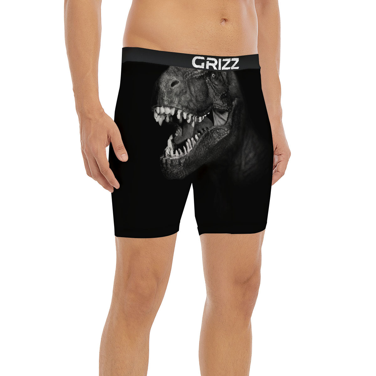 T-Rex Dinosaur White And Black Print Boxer Briefs-grizzshop