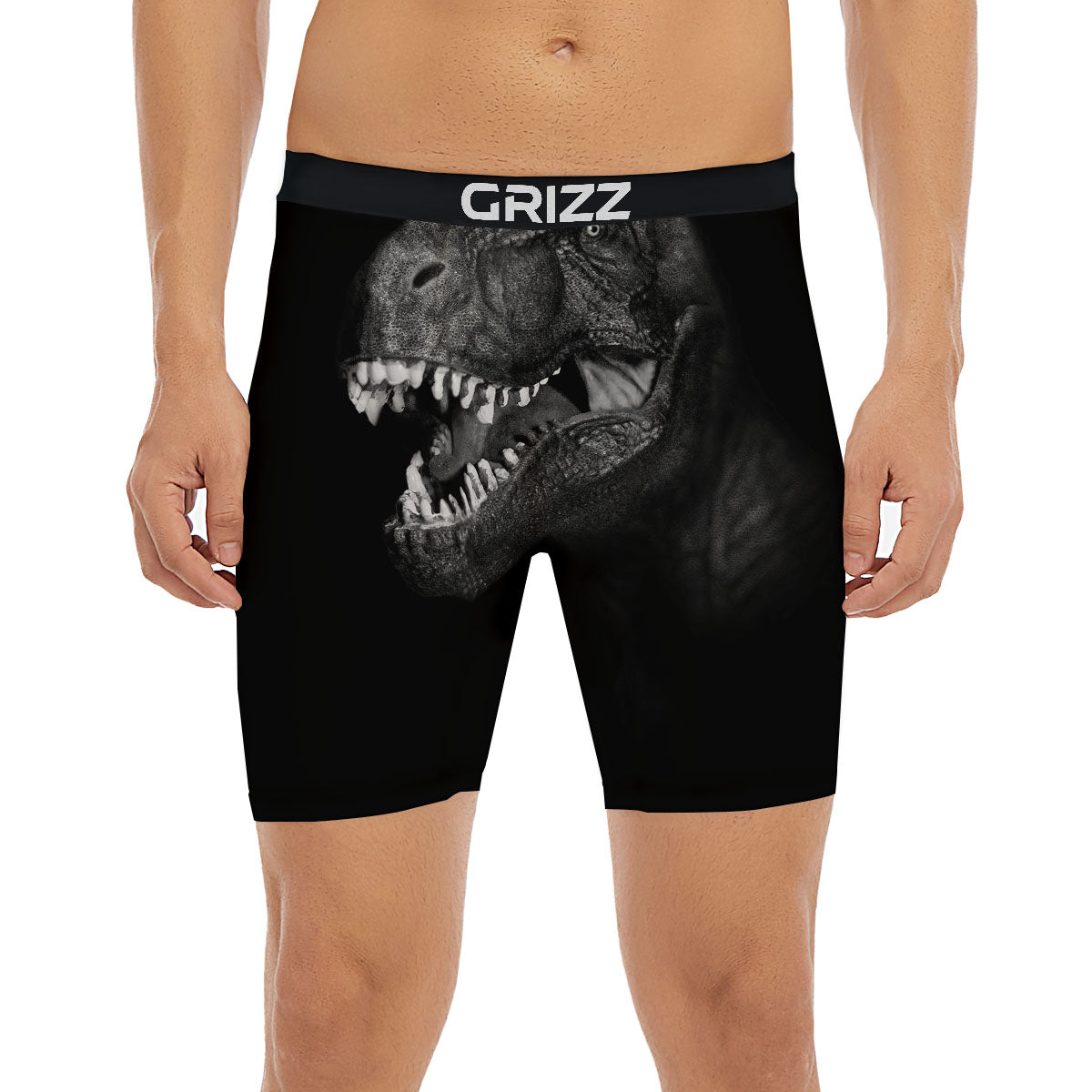 T-Rex Dinosaur White And Black Print Boxer Briefs-grizzshop