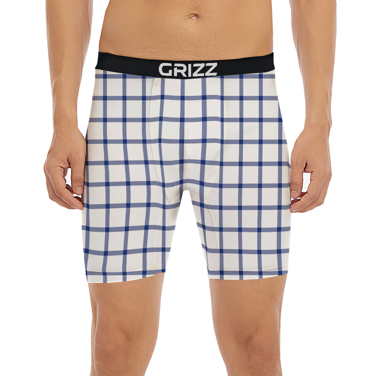 Tattersall Blue And White Print Pattern Boxer Briefs-grizzshop