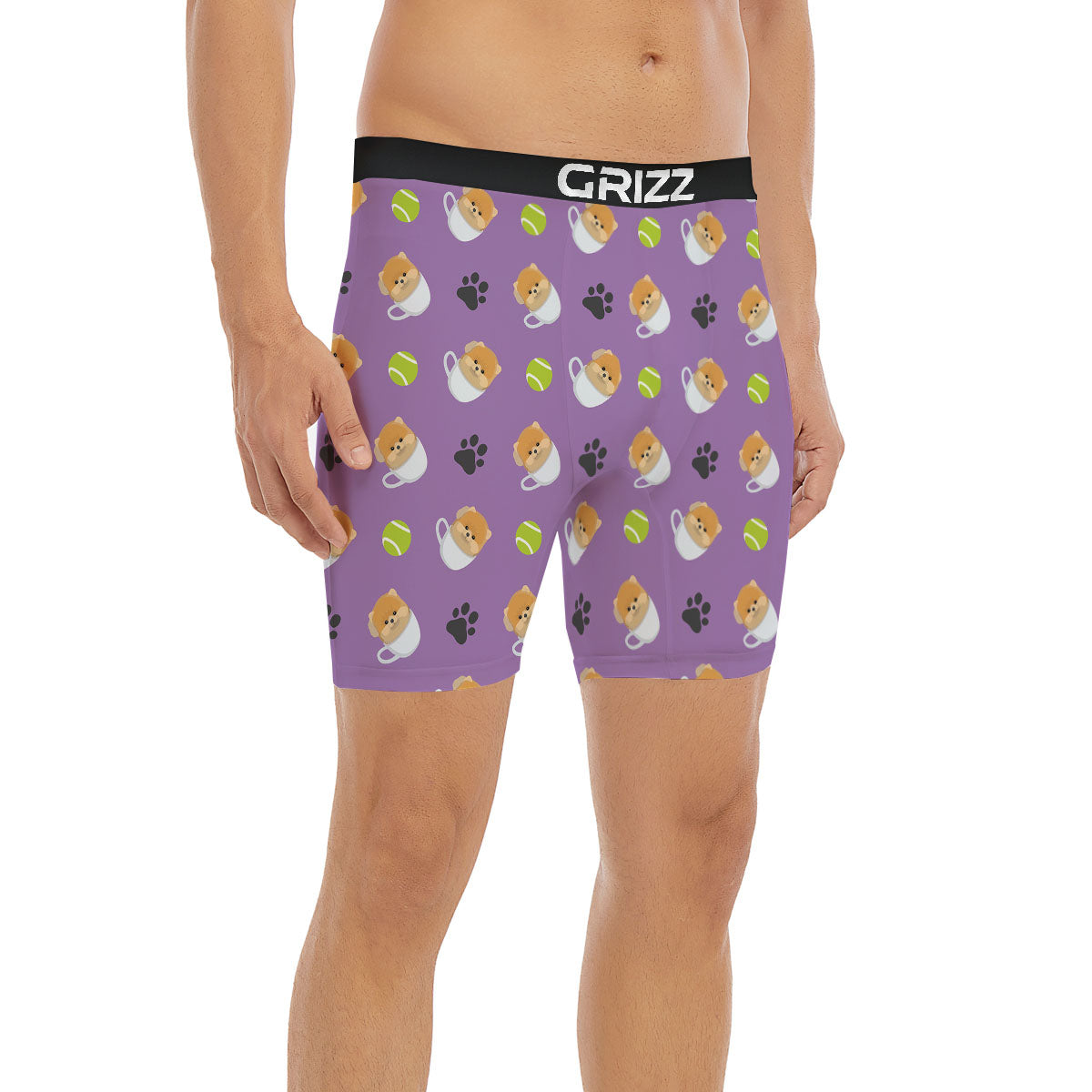 Tea Cup Pomeranian Print Pattern Boxer Briefs-grizzshop