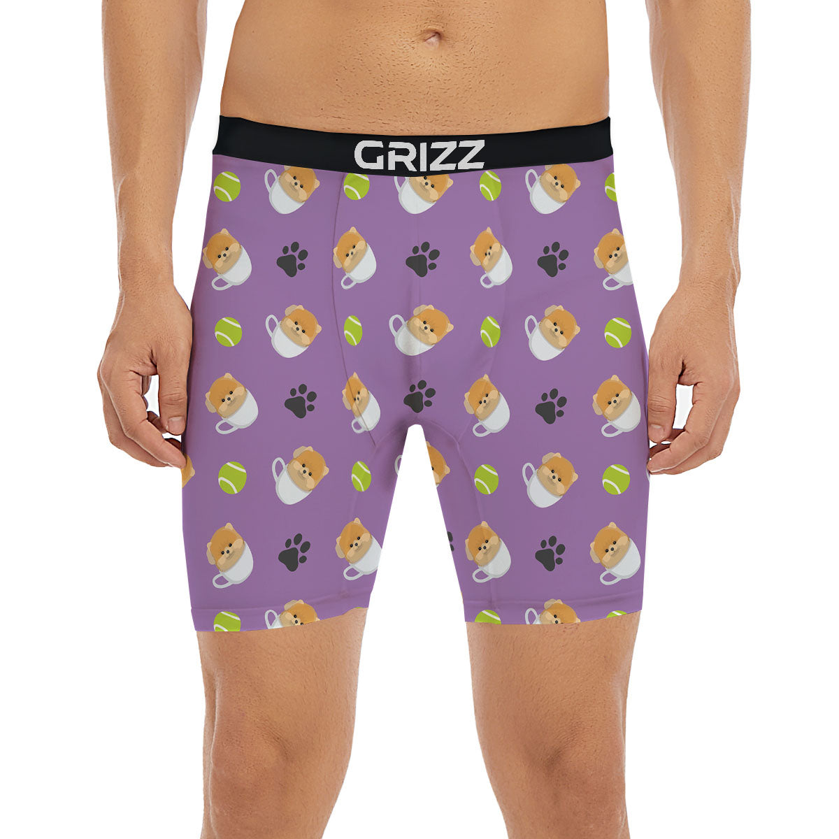Tea Cup Pomeranian Print Pattern Boxer Briefs-grizzshop